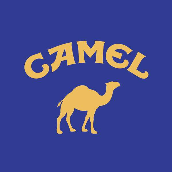 Camel